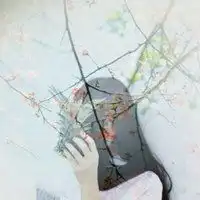 双重曝光女生侧面头像微信头像图片大全
