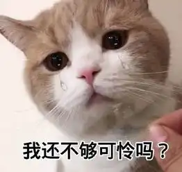 女孩都想用的表情包火了,可盐可甜看到图五咱也不敢问