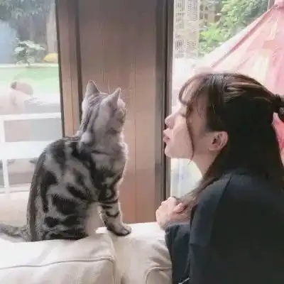 猫奴女头想做你怀里的猫呀