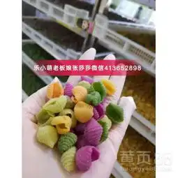 乐小萌微商创业项目真的好赚钱吗?张莎莎总部联系方式多少?-黄页88网