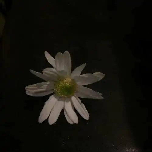 可以发朋友圈的动态文案