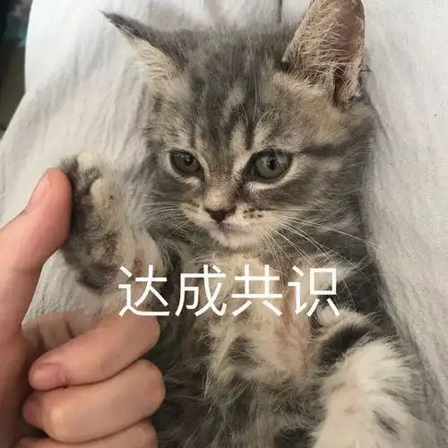 摩羯座女生和双鱼座男生在一起合适吗