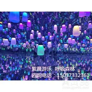 镜子迷宫项目组合,室内游乐设备,梦幻旅程,星空艺术馆,紫晨-黄页88网