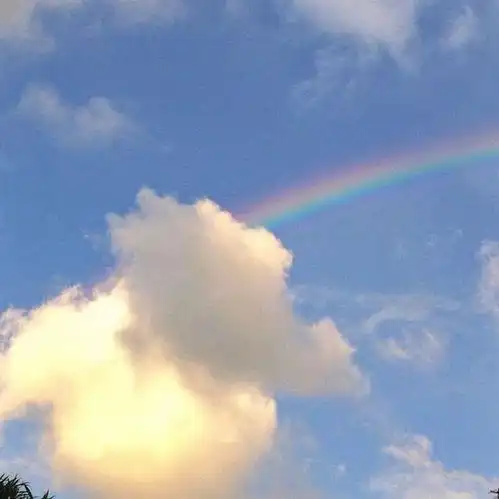 那些不太明显的委屈文案