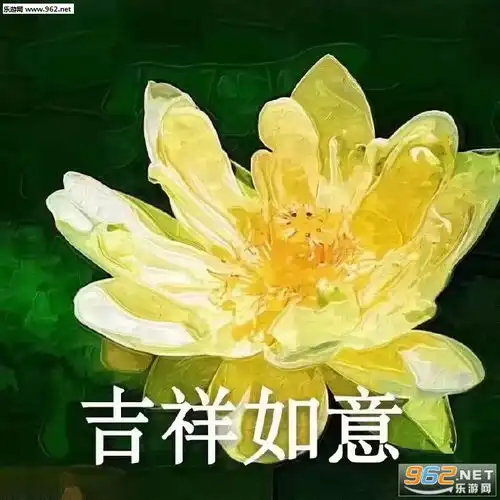 好运莲莲表情包图片大全四大皆空佛系莲花表情包图片下载乐游网游戏下载