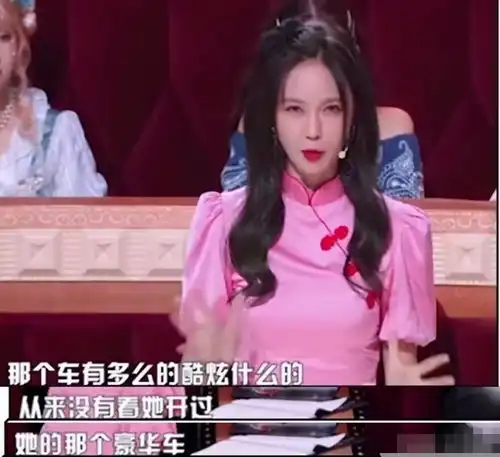 沈梦辰凭浪姐圈粉,人设刚转好,又在别的综艺败了好感