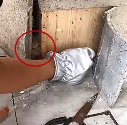 男子听见墙里有异响,凿开一看喜不自胜,还有这种好事
