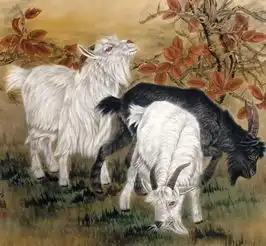 福气最旺生肖女,就是男人的贵人,不愁没钱花