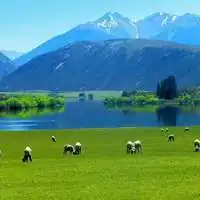 微信头像小清新风景小清新范的自然风景