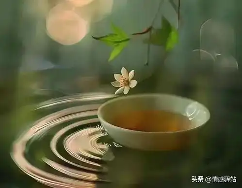 人到中年最好的活法,放下执念,随遇而安,得之坦然,失之淡然清欢随缘看淡网易订阅