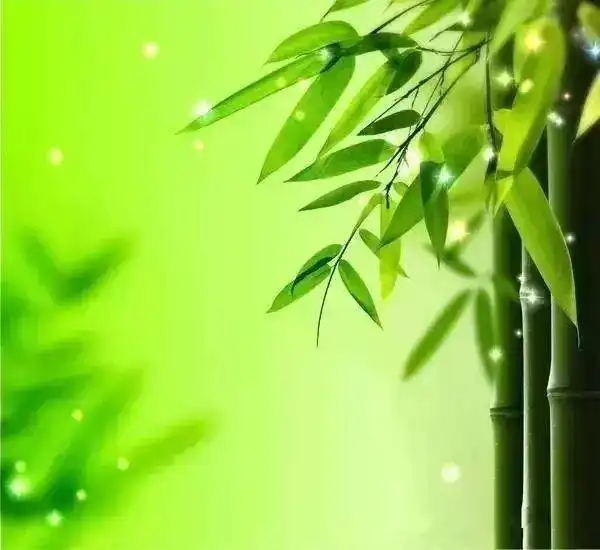 失传已久的中医养生音乐,一曲终了,病退人安