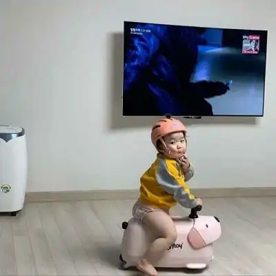 求问这个小可爱叫什么呀