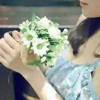 微信花草好看头像下载排行榜微信头像图片大全