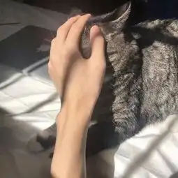 男生经典个性的部位头像精选