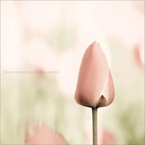如何泡巨蟹座女生精华版