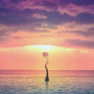 夕阳风景头像,火红的太阳与云朵相伴着太美了
