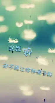 求大神帮我用这段文字p到一张图片上意境图片,我姓钟却不能让你钟情于我