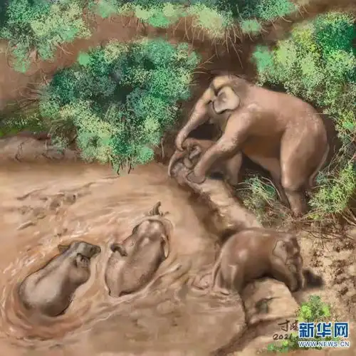 可可爱爱精美手绘定格云南北移亚洲象群名场面