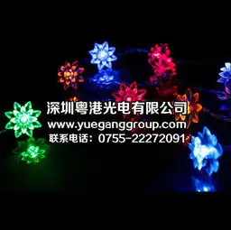 led彩灯闪灯串灯led灯串挂件灯满天星家居,led彩灯闪灯串灯led灯串挂件灯满天星家居生产厂家,led彩灯闪灯串灯led灯串挂件灯满天星家居价格
