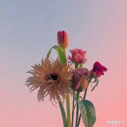 大彻大悟的朋友圈金句,道理深刻,引人深思