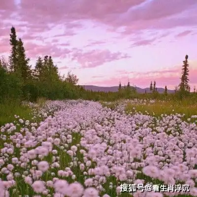 3月4日31日,万事顺心顺意,财运冲天,必富得流油的4生肖