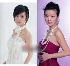 最有女大学生气质的央视美女主持