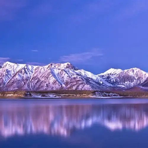 2023唯美自然风景头像
