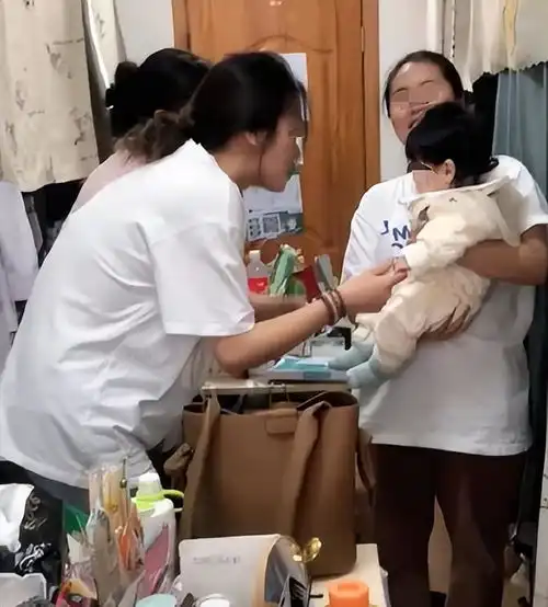 女大学生凌晨在宿舍产子,室友全程淡定观看早就见怪不怪了