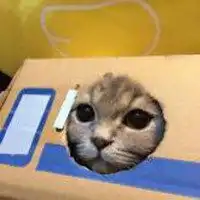 动画猫躲着看的头像女生微信头像图片大全