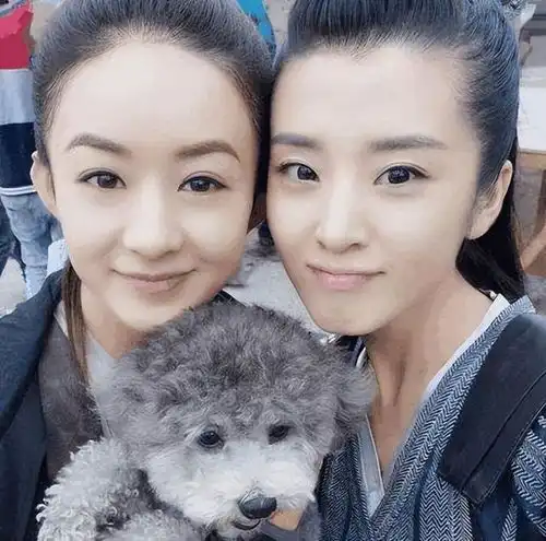 知恩图报赵丽颖,因一饭之恩铭记于心,爆红后力捧张睿女友