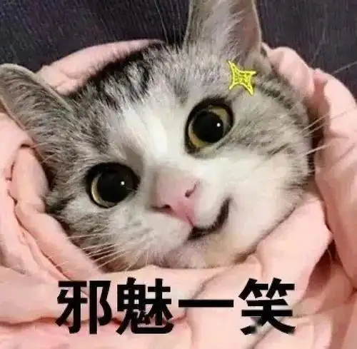 为养猫10岁女孩做ppt说服父母,网友快让她养