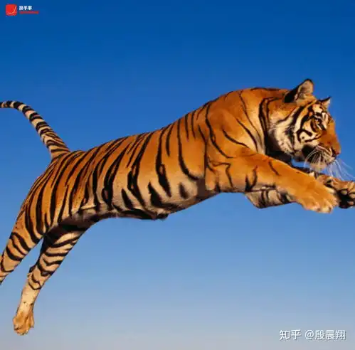 20191219沪深股市行情走势预测