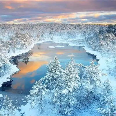 唯美雪景头像,美丽的冬季风光雪景太陶醉了
