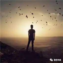 是什么决定了你的身份所有人看完沉默了深度好文