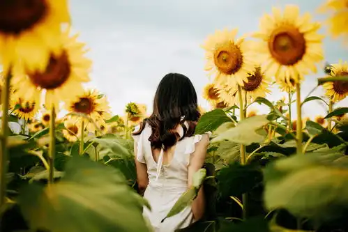 花海写真美女背影jpg格式图片下载46393093像素熊猫办公