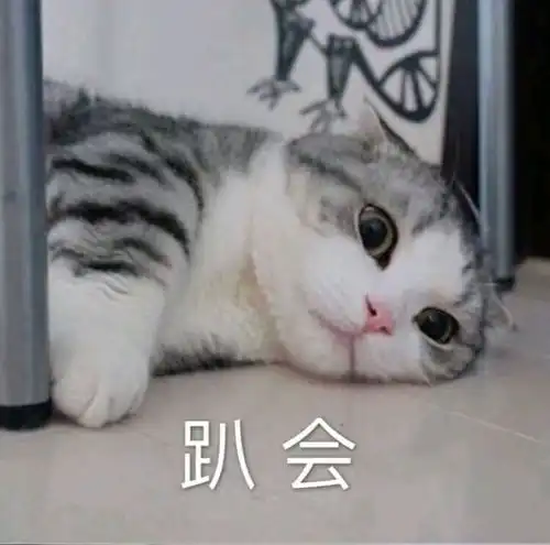 现在人的聊天都在聊什么