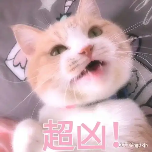 性格偏孤的女生怎么办