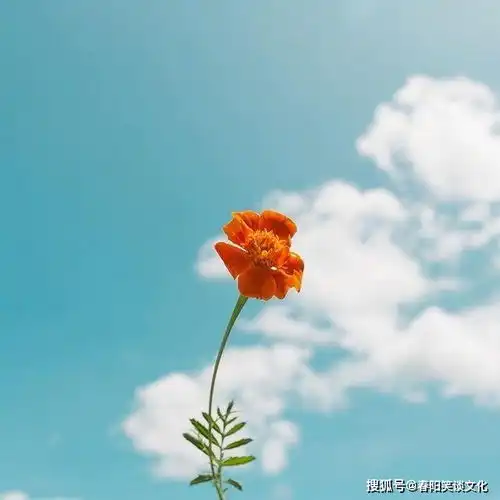 大格局有深度的人生感悟,看完大彻大悟