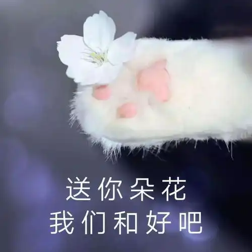 作为女生,你怎么能不来收这波表情包可爱又撩人,女生专用