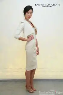 donnakaran2013春夏女装系列日出日落图库