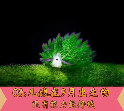 儿媳妇是以下月份出生的,脾气好不找事,而且晚年很孝顺