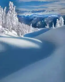 人生,最美风景在路上冬季版