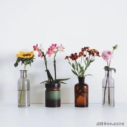 令人大彻大悟的句子,句句都是人生哲理