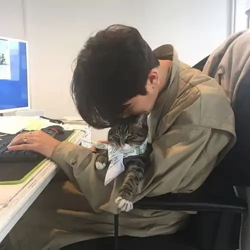 猫奴在家实录catωholic