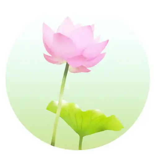 夏至荷花微信头像风景图片扣扣居
