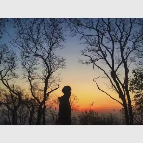 万物皆甜,而你胜过万物