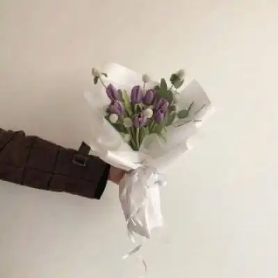 拿心手势只有手图片手拿鲜花只有花图片