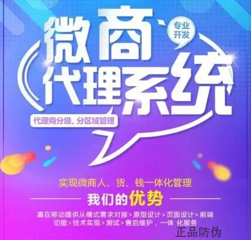 微商代理系统开发打造高效团队