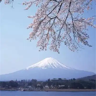 2023最新唯美风景头像