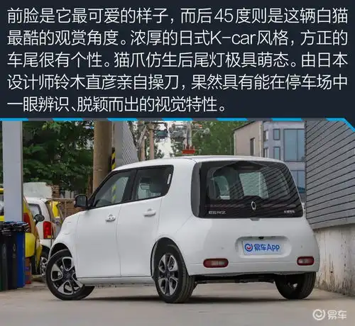 这只小猫值得一吸95后女生解析欧拉白猫
